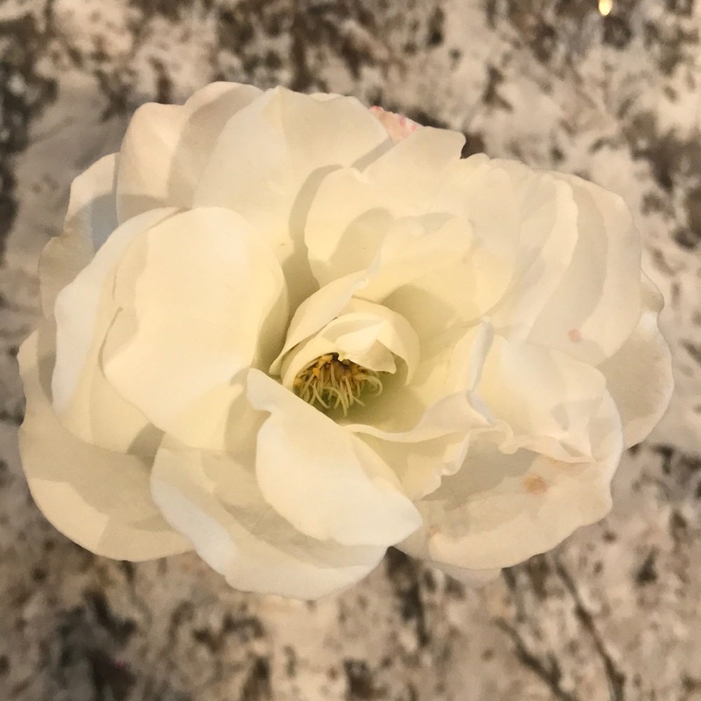 Meet your Posher, Aab